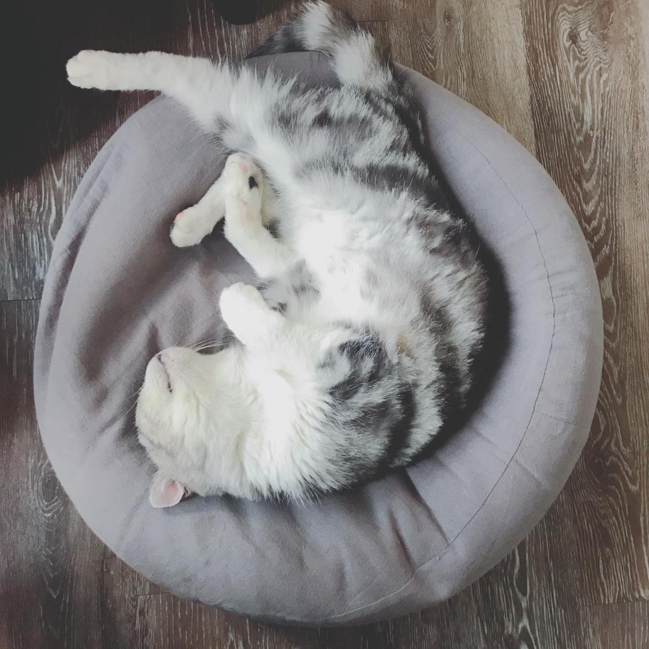 A Fat At Home Tajnan Kültér fotó